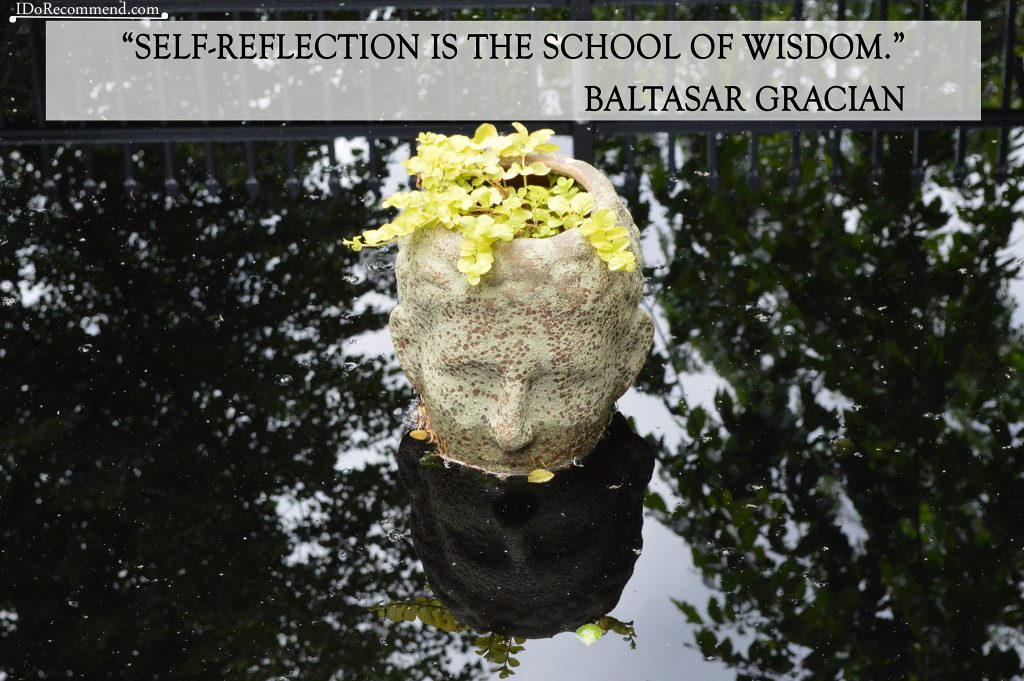 Quote "Self-reflection is the school of wisdom" (photo from USA Denver Botanic Gardens)