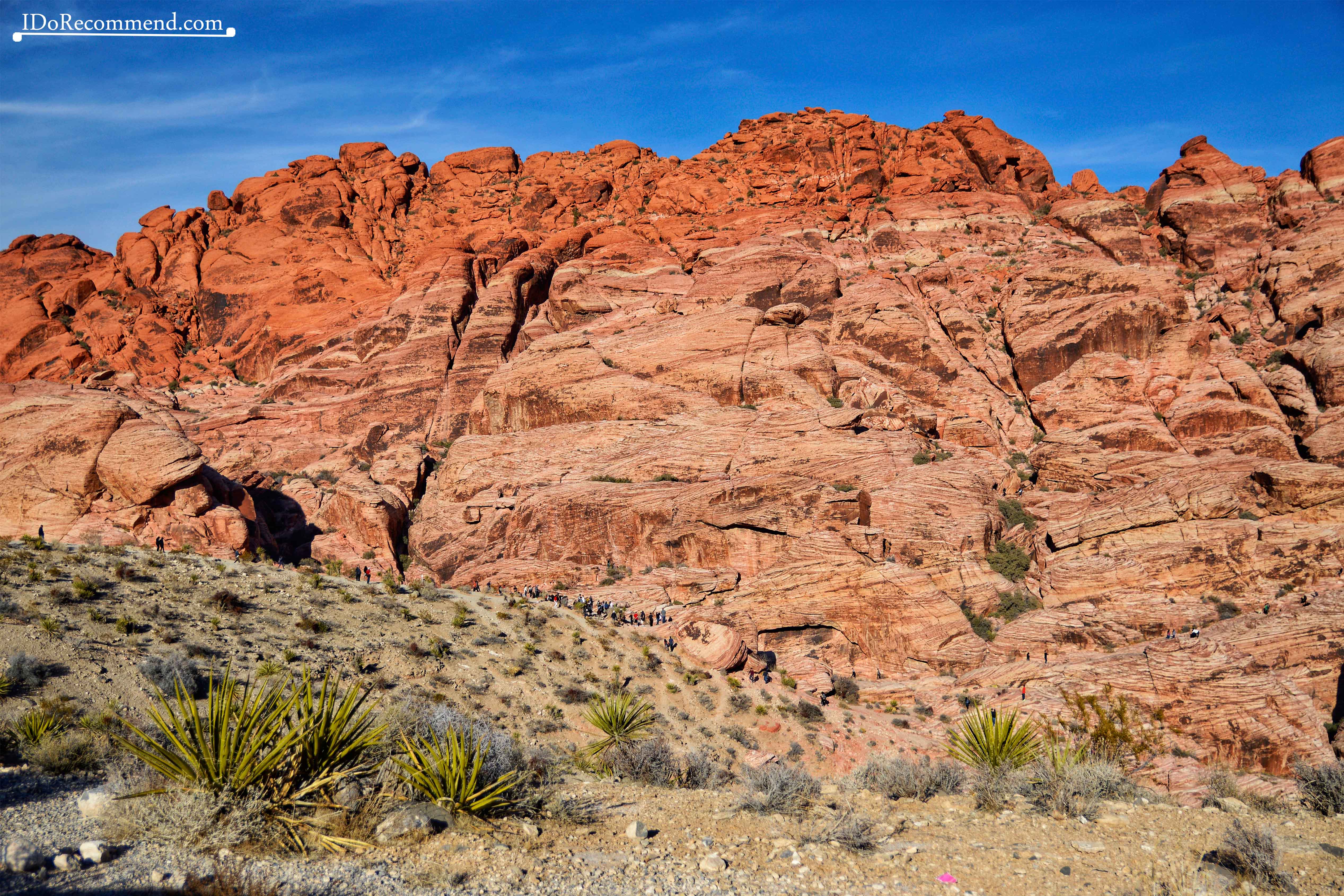 Nevada_desert_near_Las_Vegas_Red_Rock_Canyon
