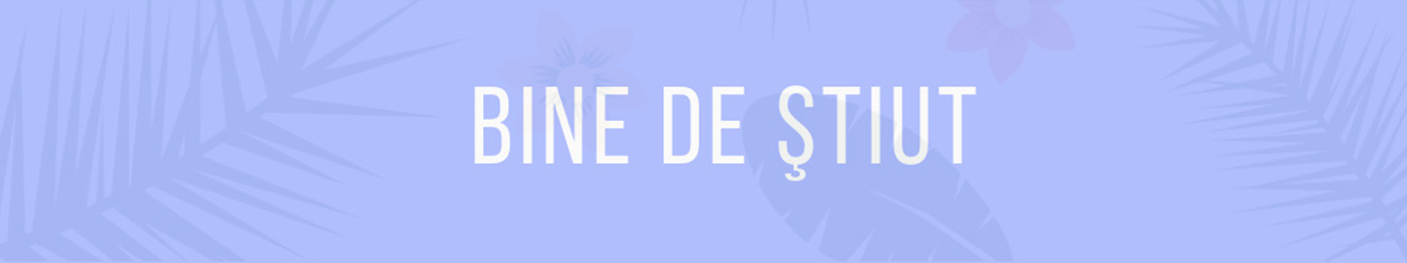BineDeStiut banner