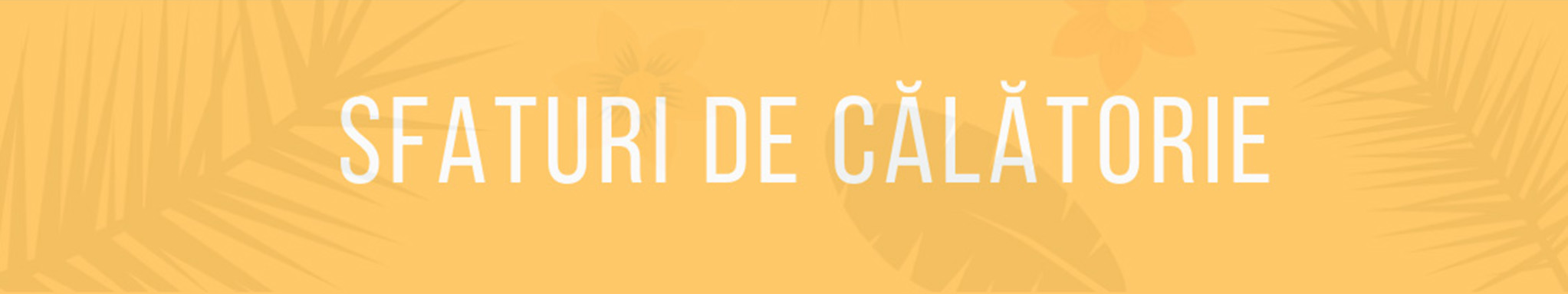 SfaturiDeCalatorie banner
