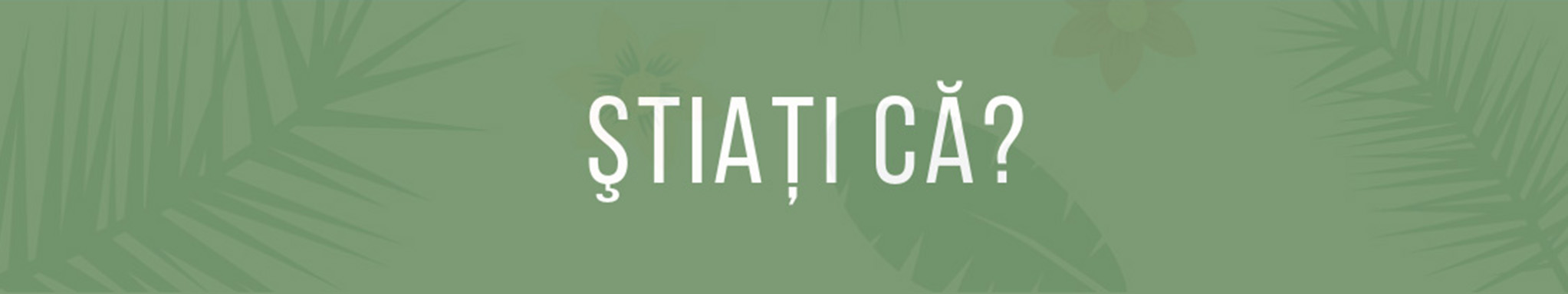 StiatiCa banner