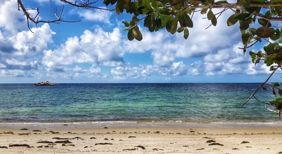 Top 10 things to do in Praslin