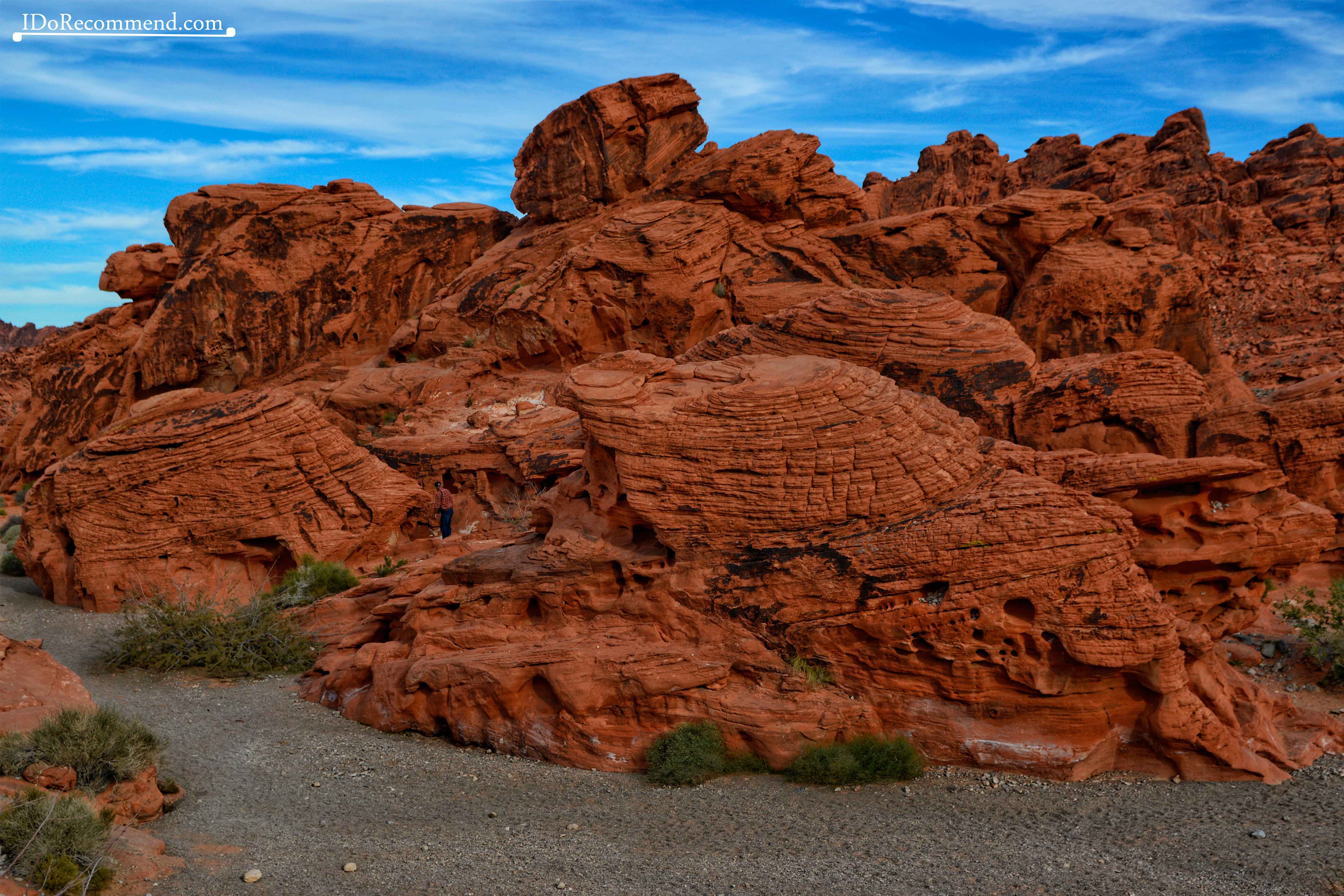 Las_Vegas_Valley_of_Fire_Beehives