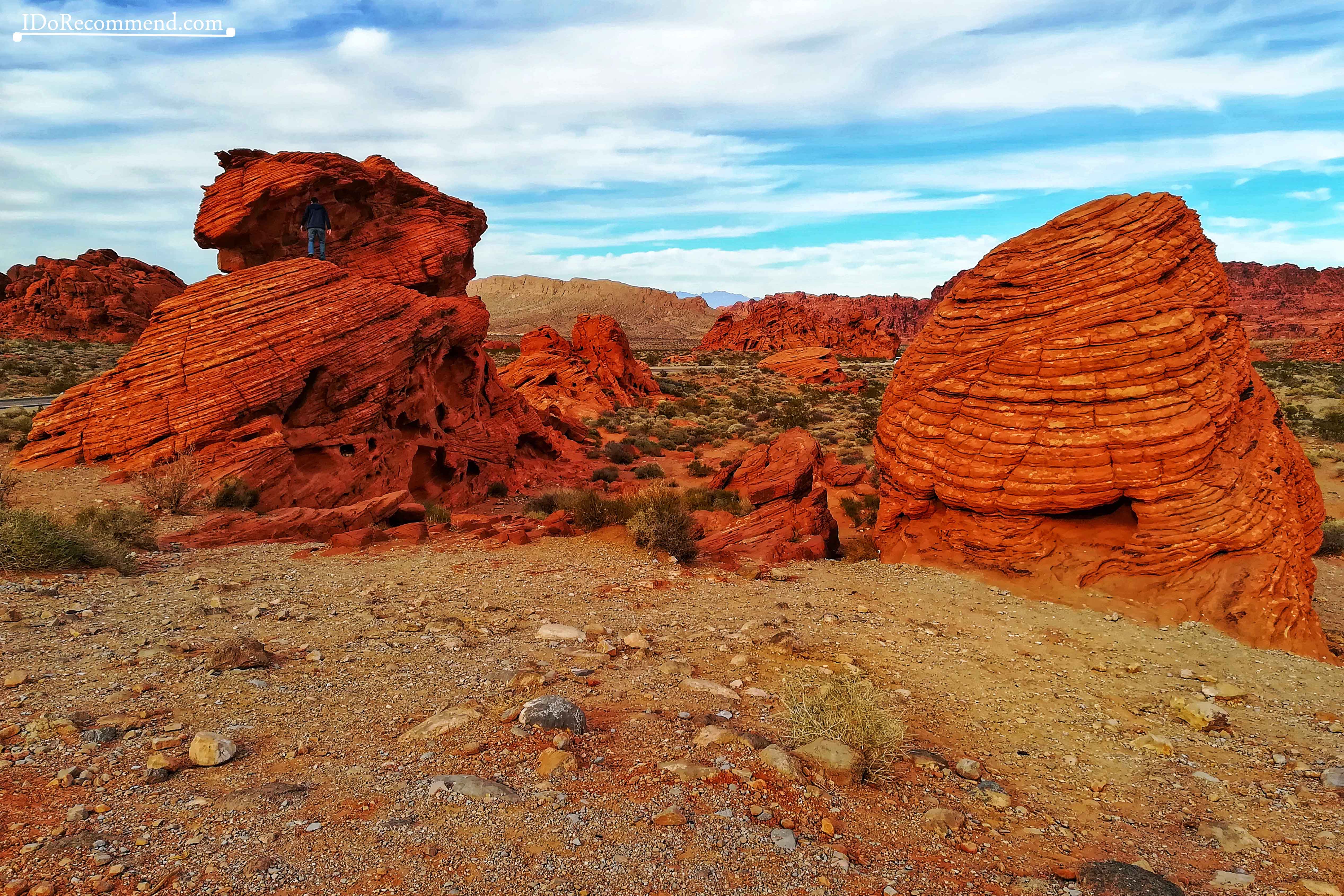 Las_Vegas_Valley_of_Fire_Beehives