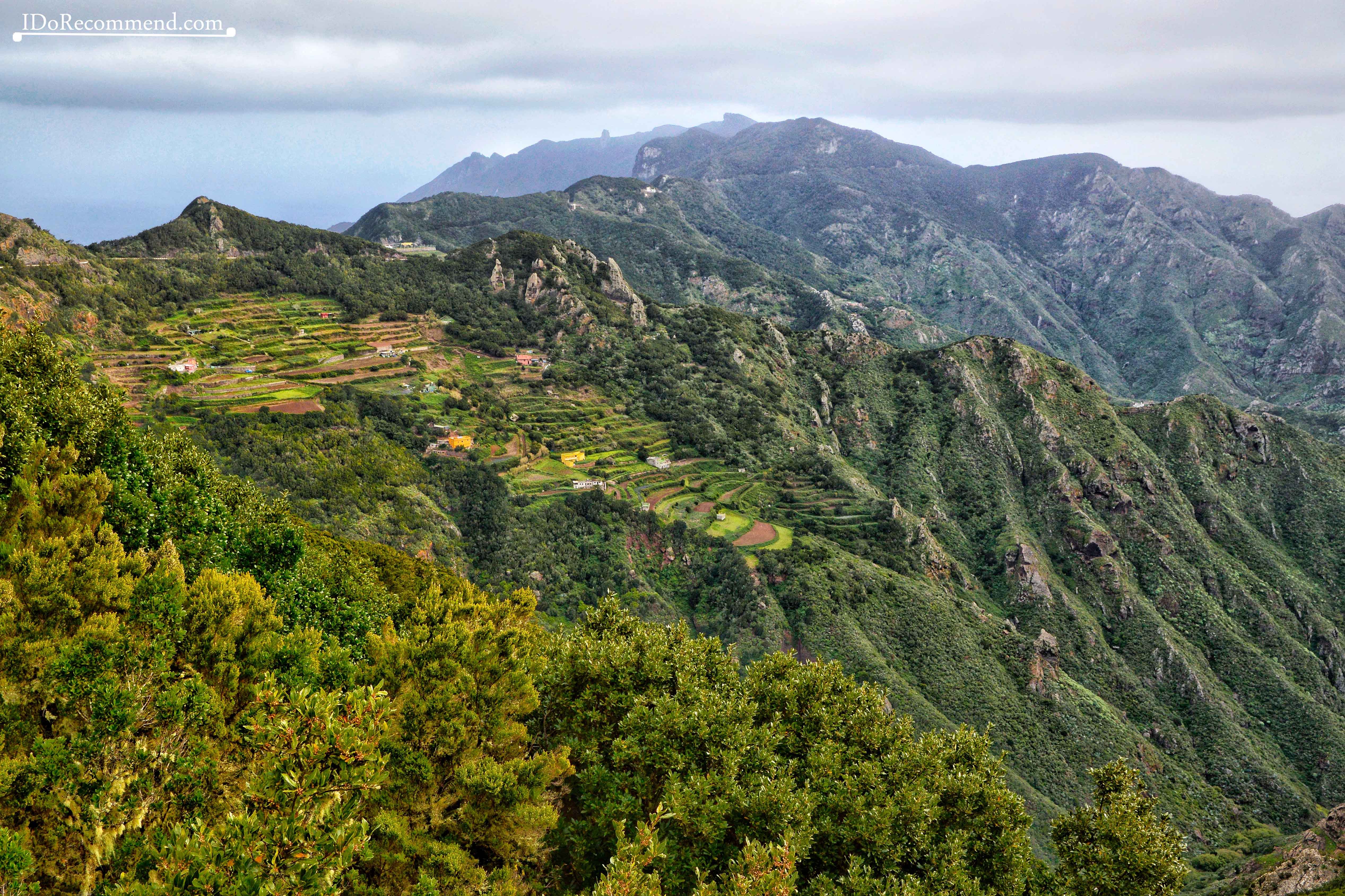 _IDoRecommend_Spain_Canary_Tenerife_Feb_Anaga_Park_Cabezo_Del_Viento_trail