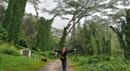 Manoa Falls Trail – O’ahu