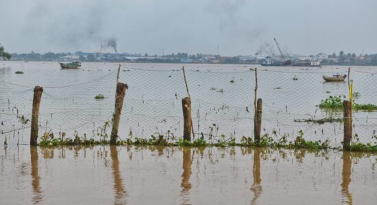 Mekong Delta (Vietnam)